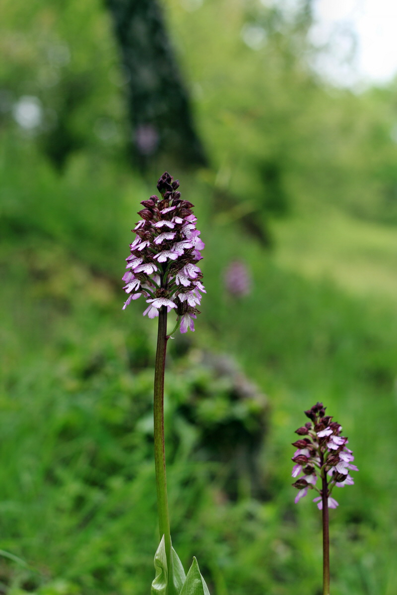 2013_05_13_00014127_Bildgr��e �ndern