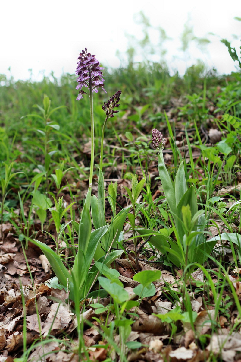 2013_05_13_00014135_Bildgr��e �ndern