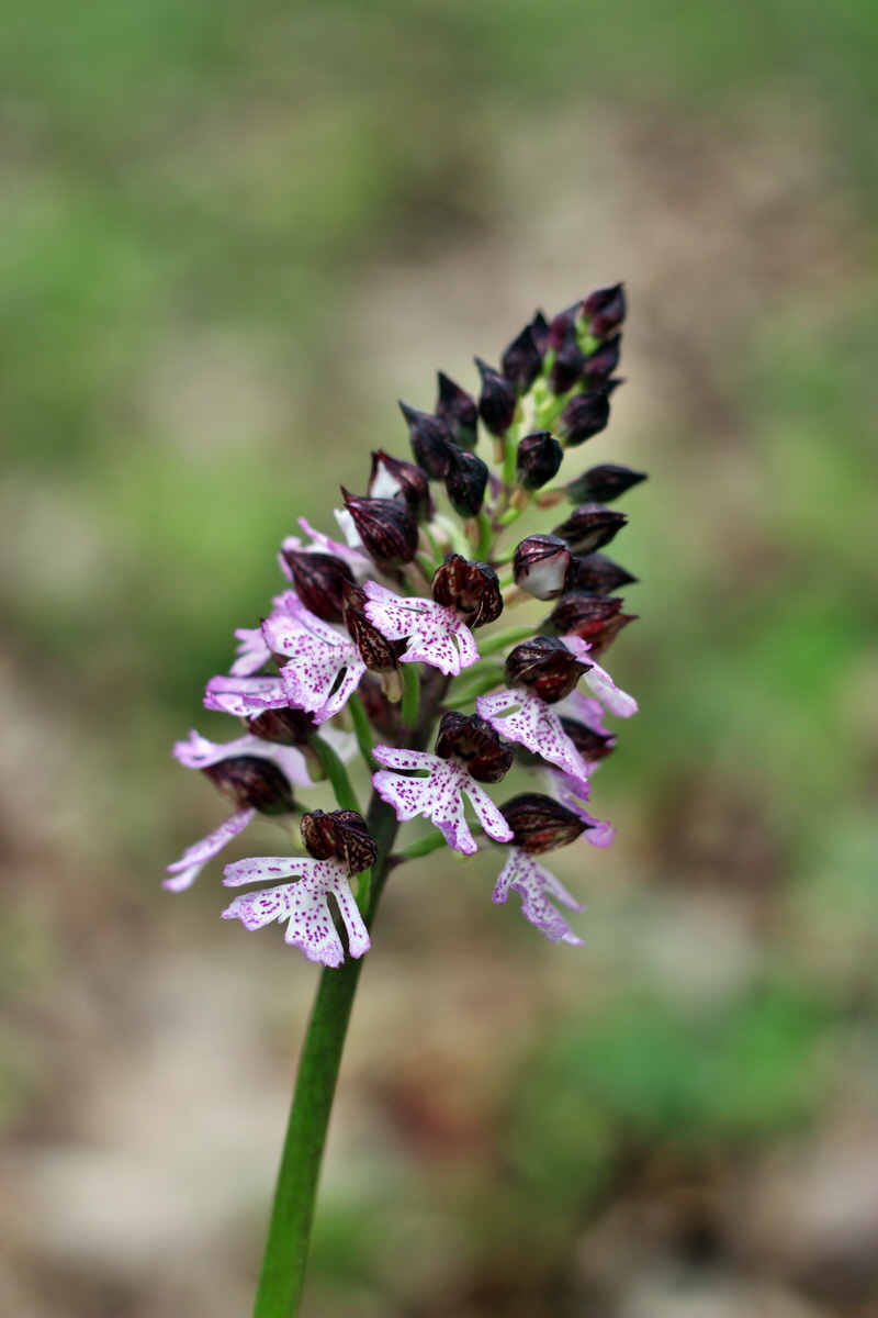 2013_05_13_00014140_Bildgr��e �ndern