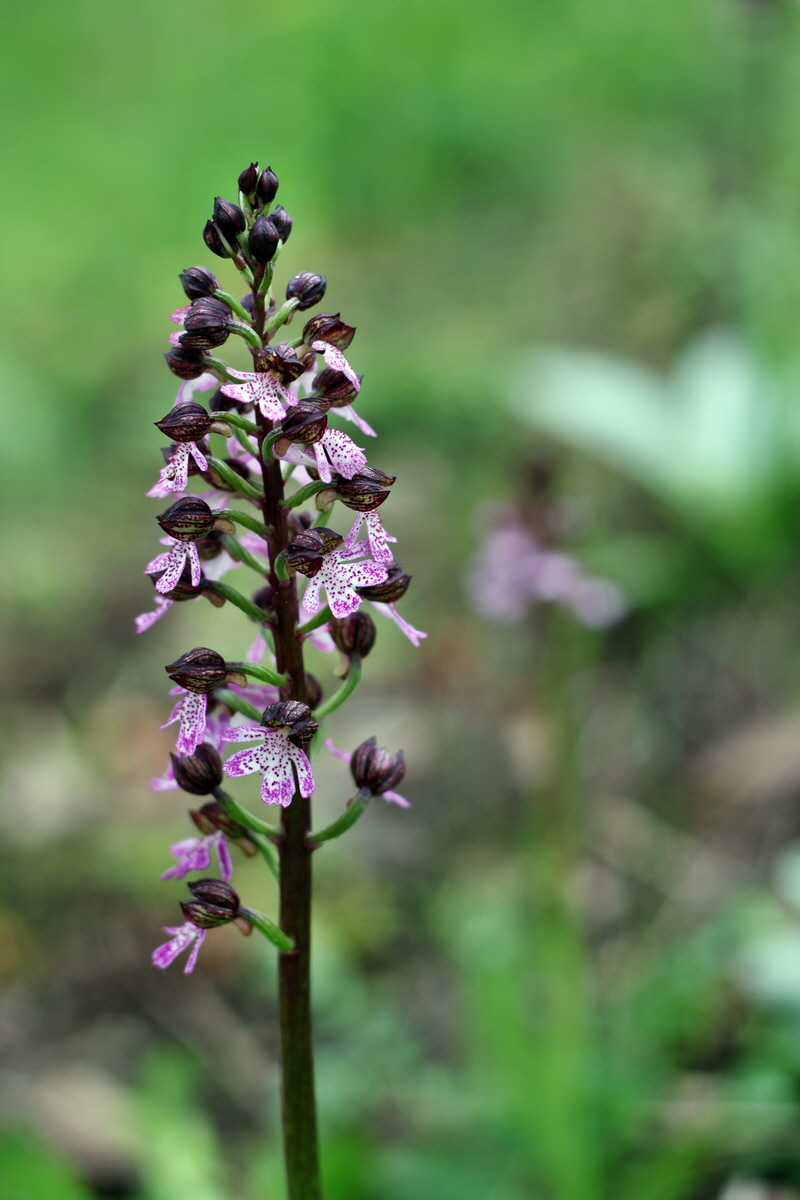 2013_05_13_00014142_Bildgr��e �ndern