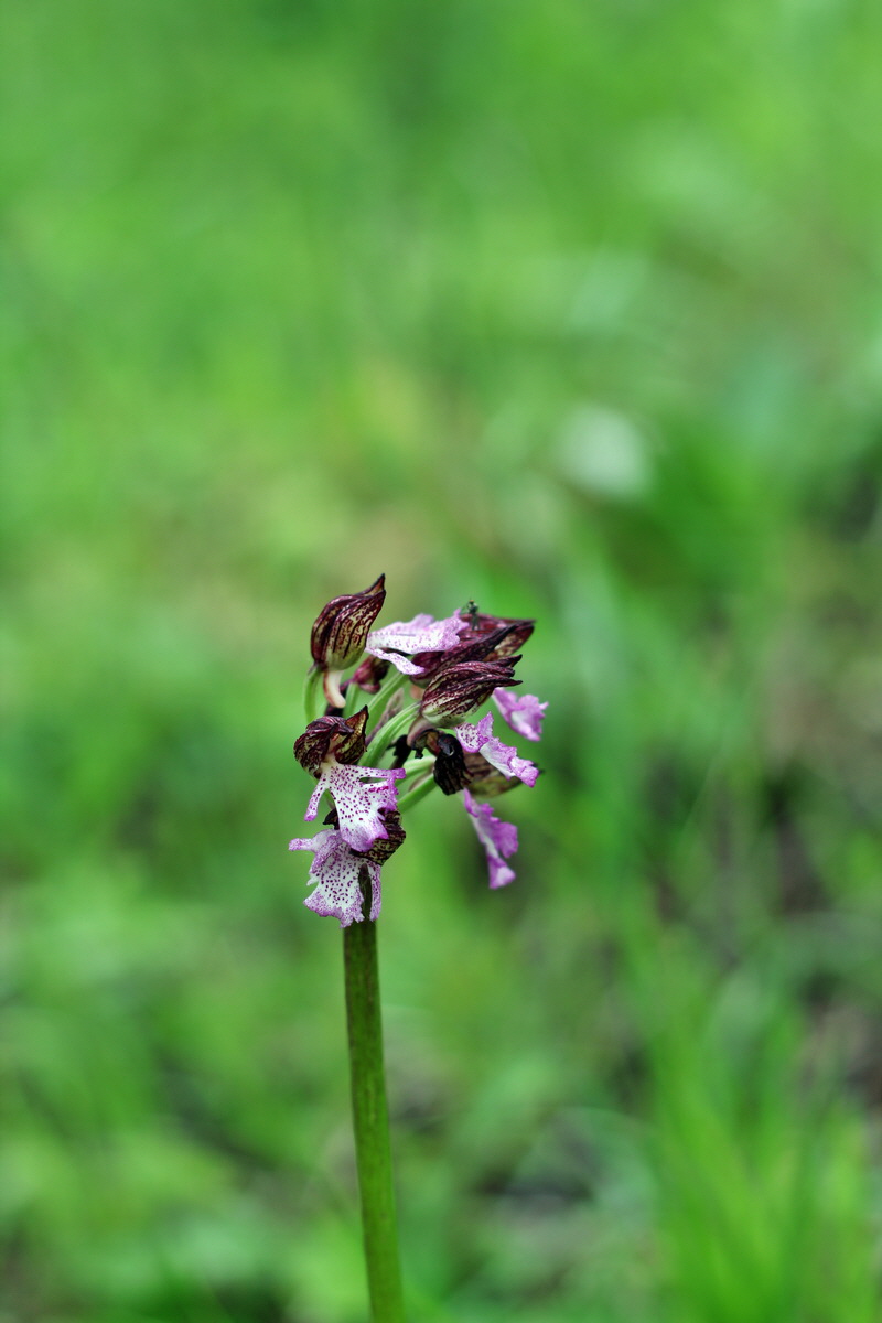 2013_05_13_00014147_Bildgr��e �ndern