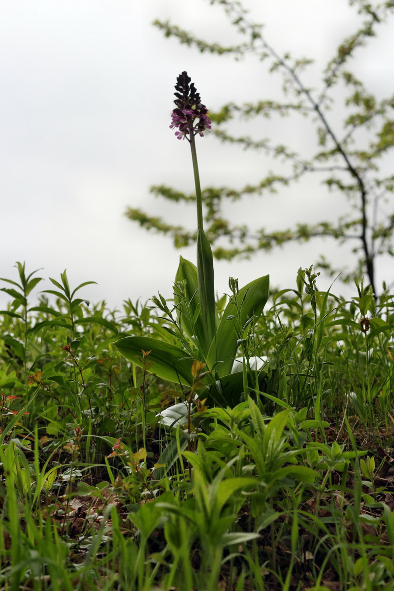 2013_05_13_00014159_Bildgr��e �ndern