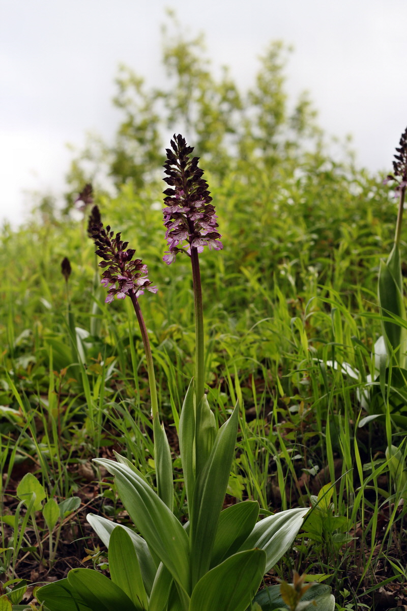 2013_05_13_00014163_Bildgr��e �ndern