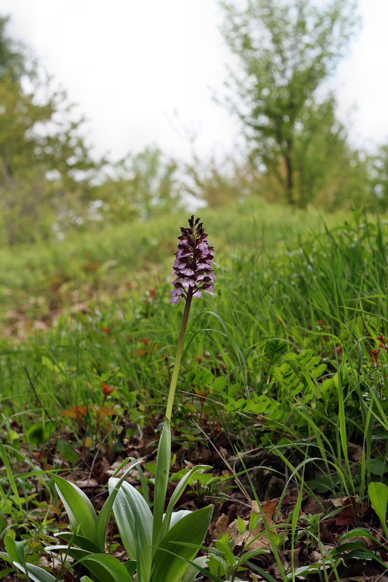 2013_05_13_00014165_Bildgr��e �ndern