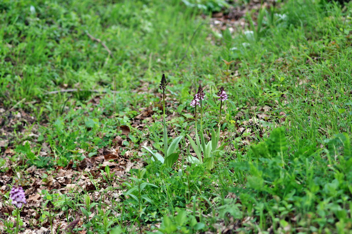 2013_05_13_00014177_Bildgr��e �ndern