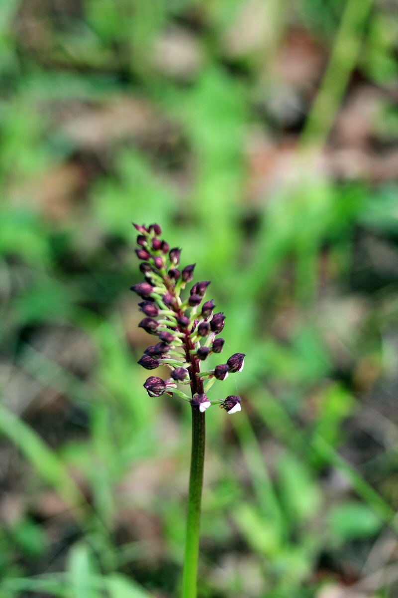 2013_05_13_00014199_Bildgr��e �ndern