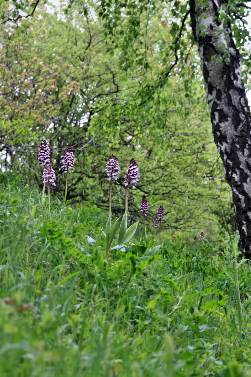 2013_05_13_00014205_Bildgr��e �ndern