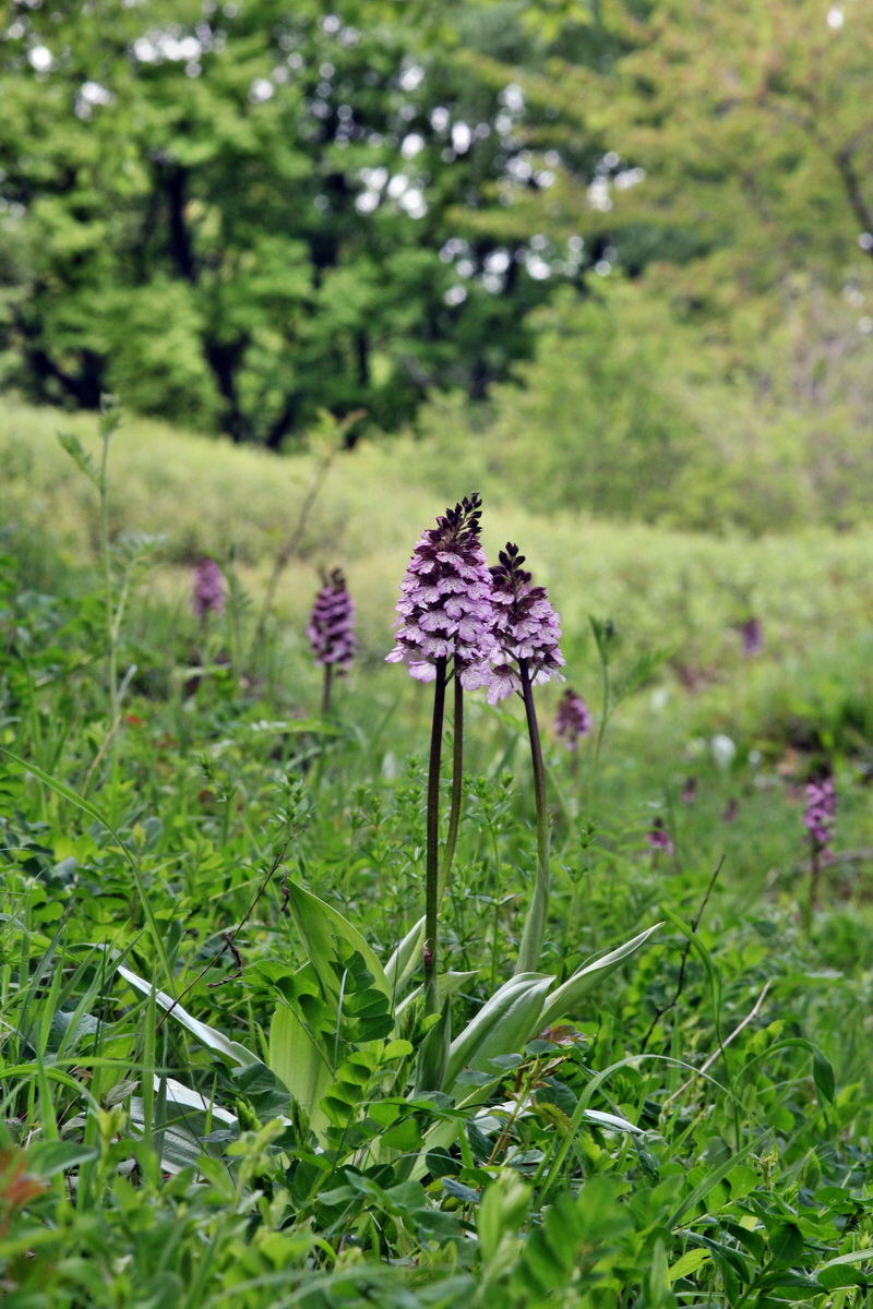 2013_05_13_00014213_Bildgr��e �ndern