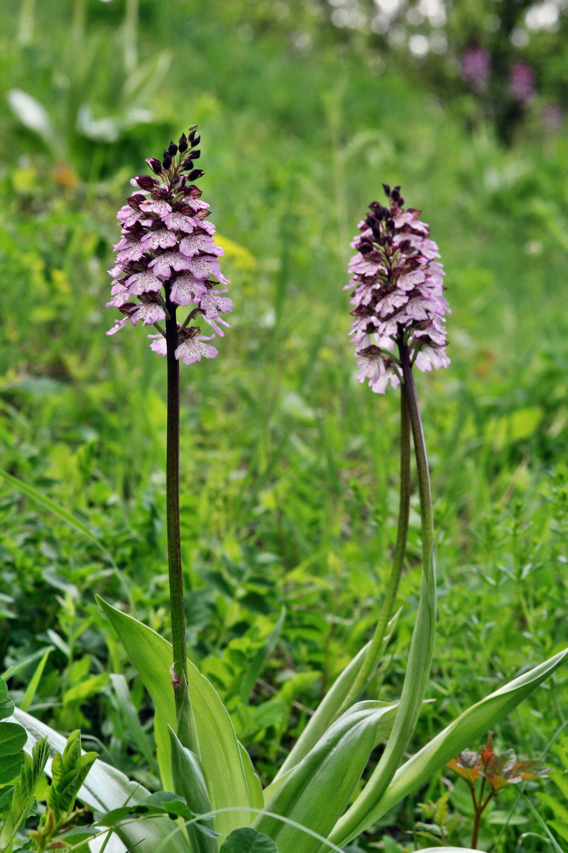 2013_05_13_00014220_Bildgr��e �ndern