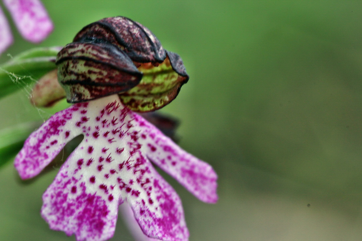 2013_05_13_00014307_Bildgr��e �ndern