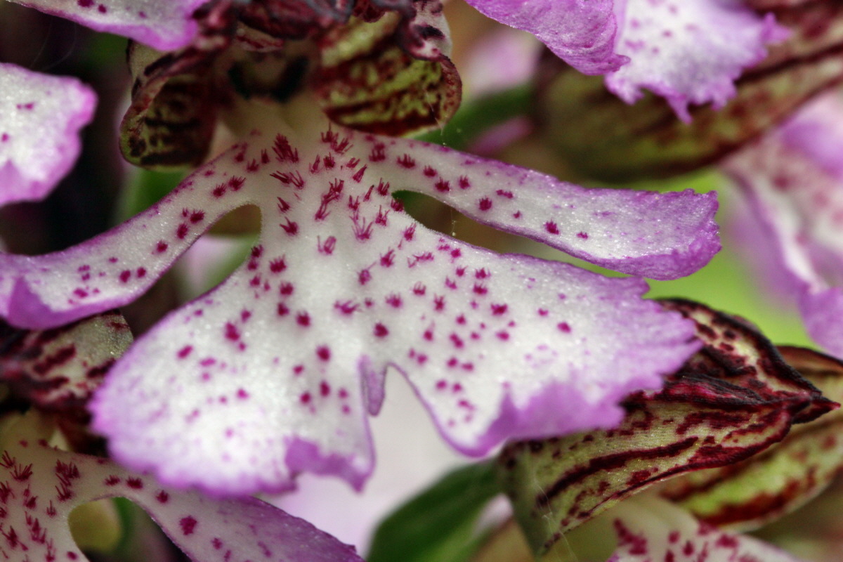 2013_05_13_00014334_Bildgr��e �ndern