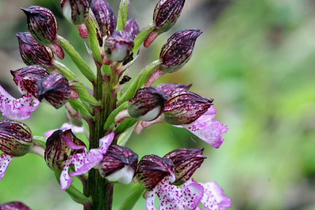 2013_05_13_00014348_Bildgr��e �ndern