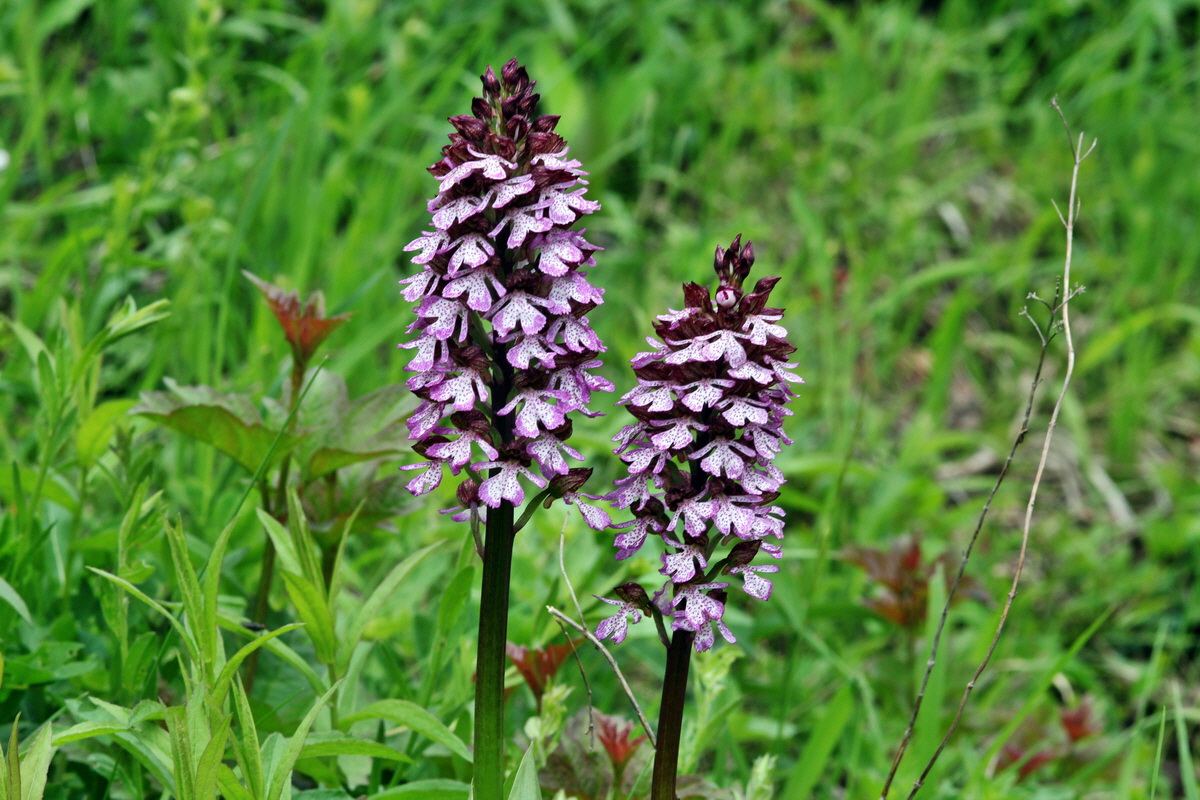 2013_05_13_00014355_Bildgr��e �ndern