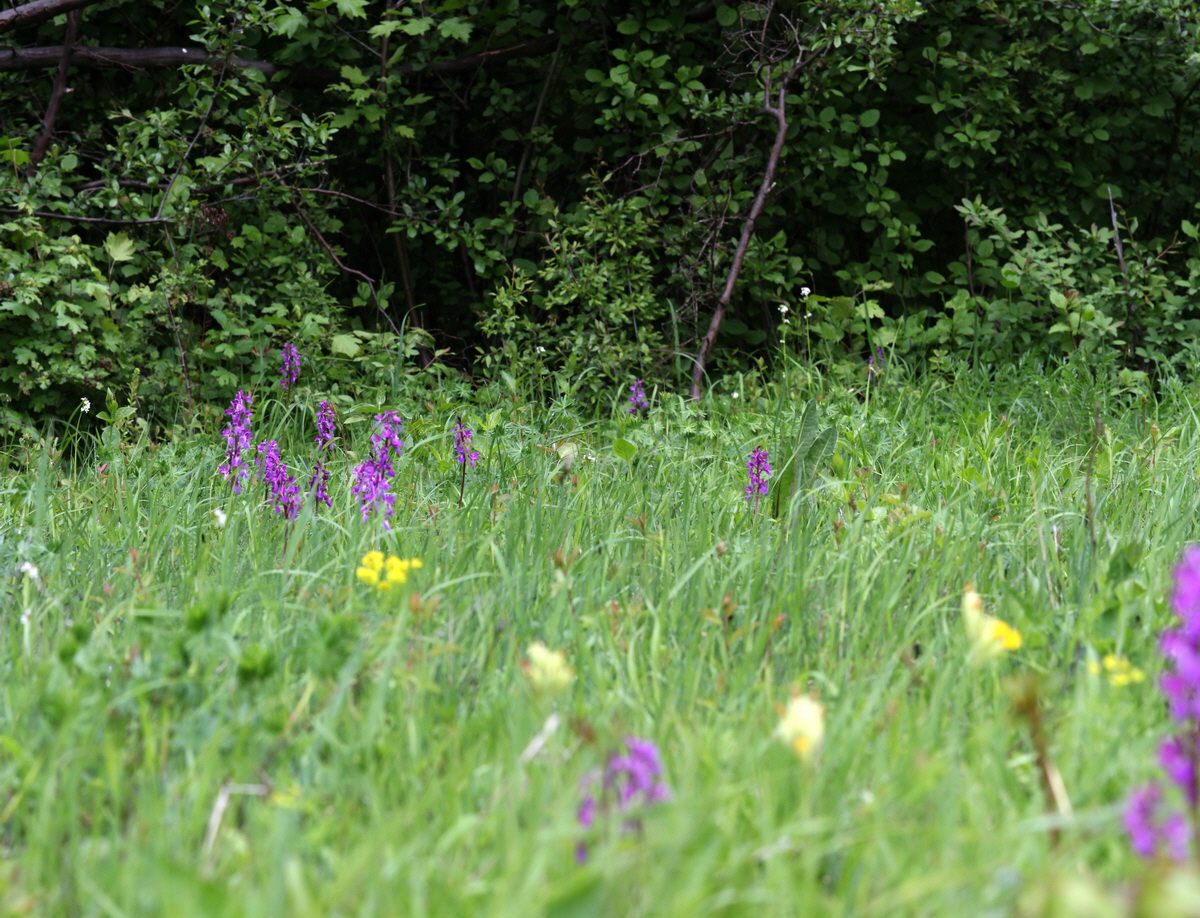 [Group 1]-2013_05_14_00014399_2013_05_14_00014405-2 images_Bildgr��e �ndern