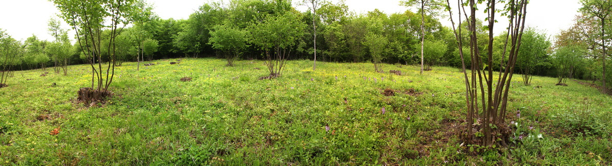 [Group 10]-2013_05_14_00014629_2013_05_14_00014646-6 images_Bildgr��e �ndern