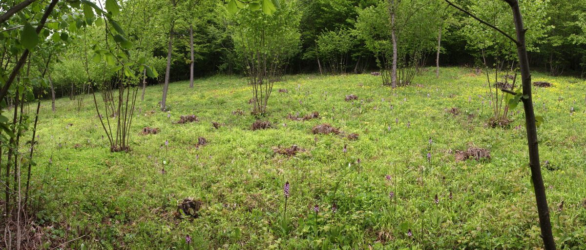 [Group 11]-2013_05_14_00014618_2013_05_14_00014627-4 images_Bildgr��e �ndern