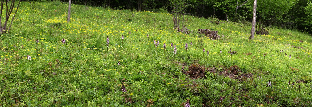 [Group 13]-2013_05_14_00014647_2013_05_14_00014654-6 images_Bildgr��e �ndern