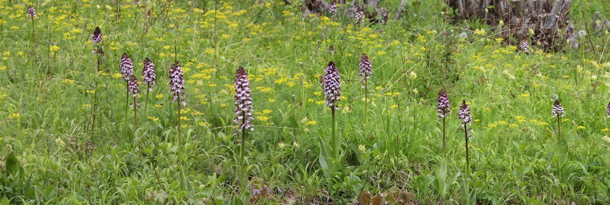 [Group 14]-2013_05_14_00014655_2013_05_14_00014657-2 images_Bildgr��e �ndern