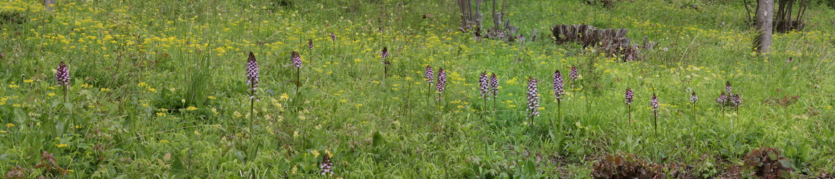 [Group 14]-2013_05_14_00014658_2013_05_14_00014675-18 images_Bildgr��e �ndern