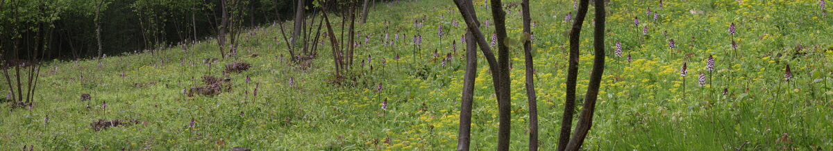 [Group 14]-2013_05_14_00014677_2013_05_14_00014682-5 images_Bildgr��e �ndern