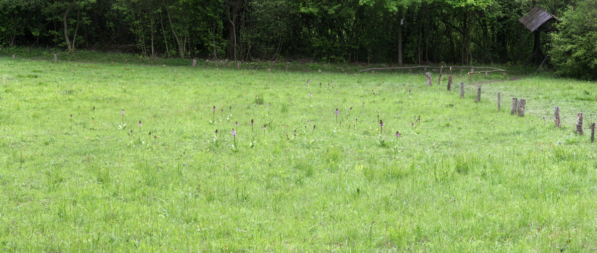 [Group 6]-2013_05_14_00014462_2013_05_14_00014477-5 images_Bildgr��e �ndern