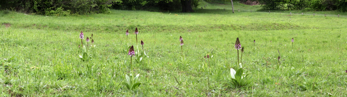 [Group 6]-2013_05_14_00014478_2013_05_14_00014491-7 images_Bildgr��e �ndern