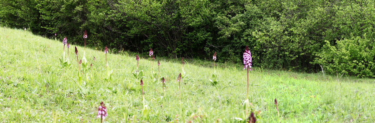 [Group 7]-2013_05_14_00014511_2013_05_14_00014518-7 images_Bildgr��e �ndern