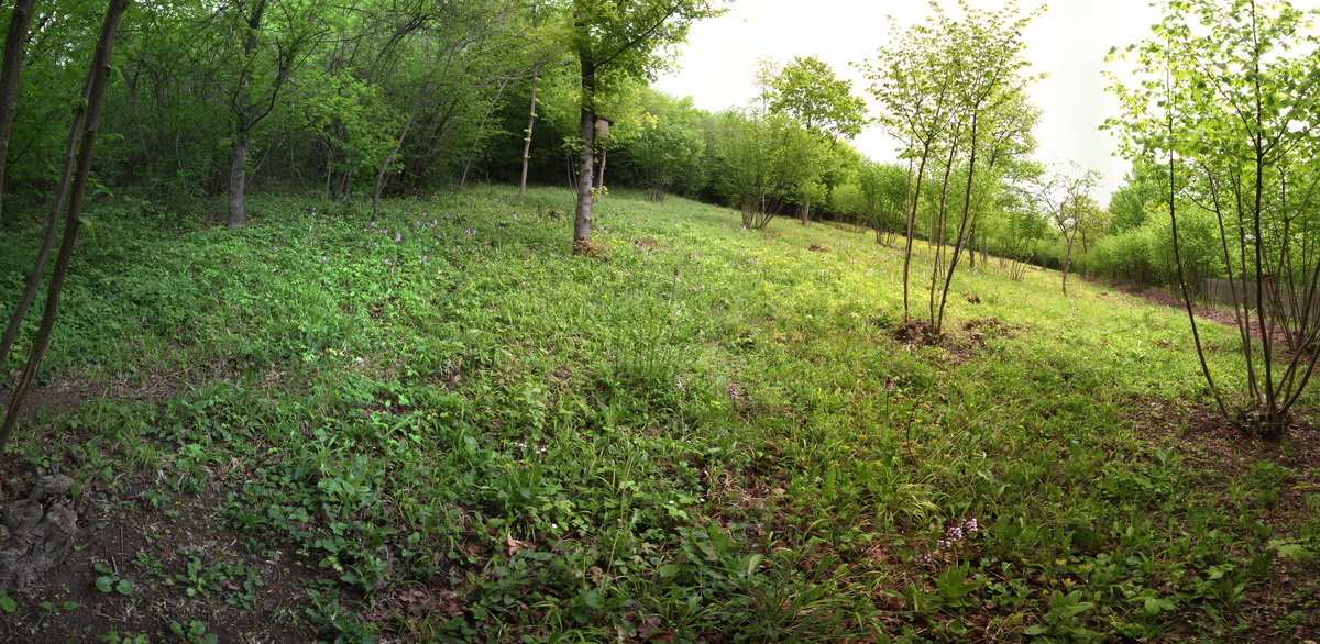 [Group 8]-2013_05_14_00014538_2013_05_14_00014549-4 images_Bildgr��e �ndern