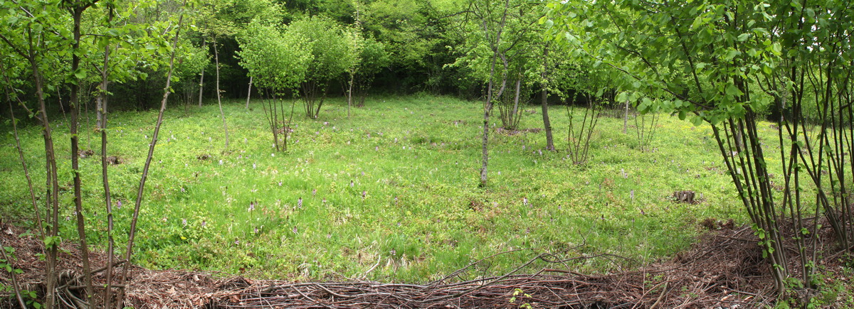 [Group 9]-2013_05_14_00014600_2013_05_14_00014605-2 images_Bildgr��e �ndern