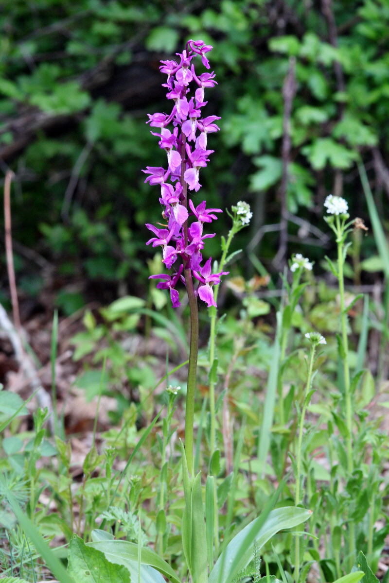 2013_05_14_00014408_Bildgr��e �ndern