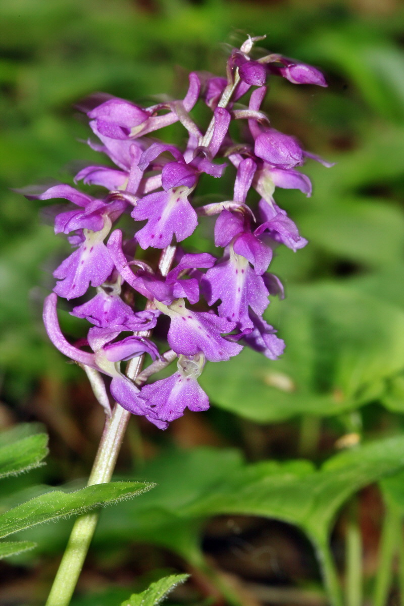 2013_05_14_00014440_Bildgr��e �ndern