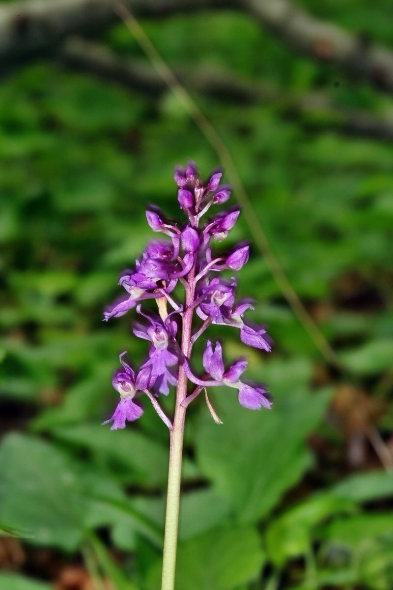 2013_05_14_00014441_Bildgr��e �ndern