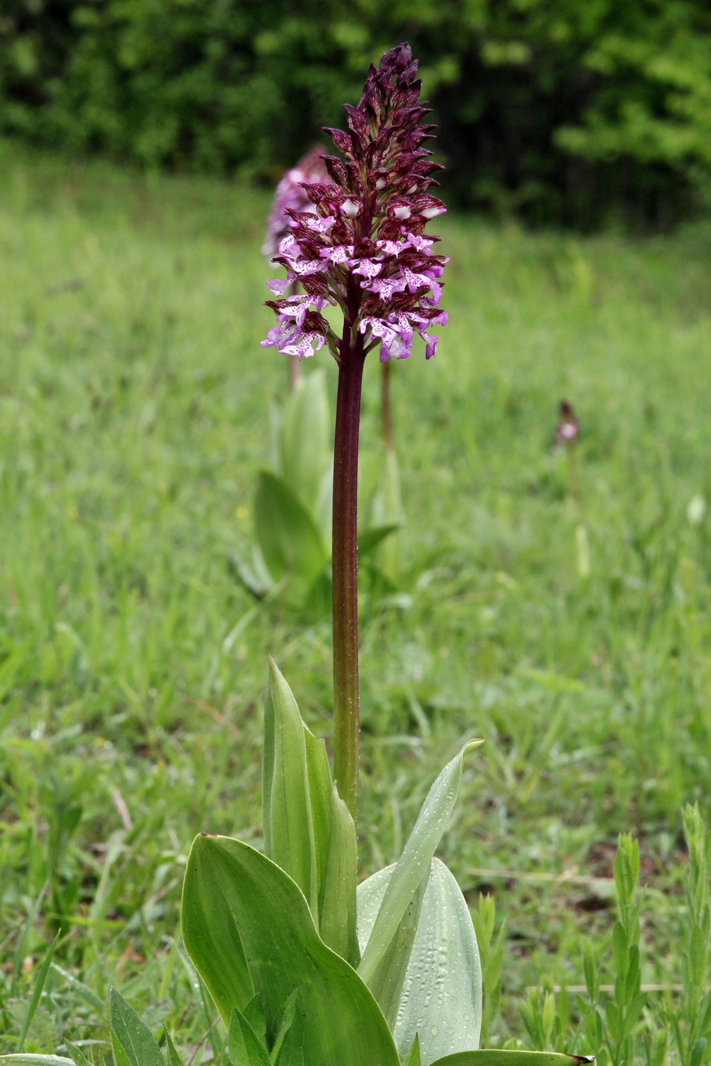 2013_05_14_00014496_Bildgr��e �ndern