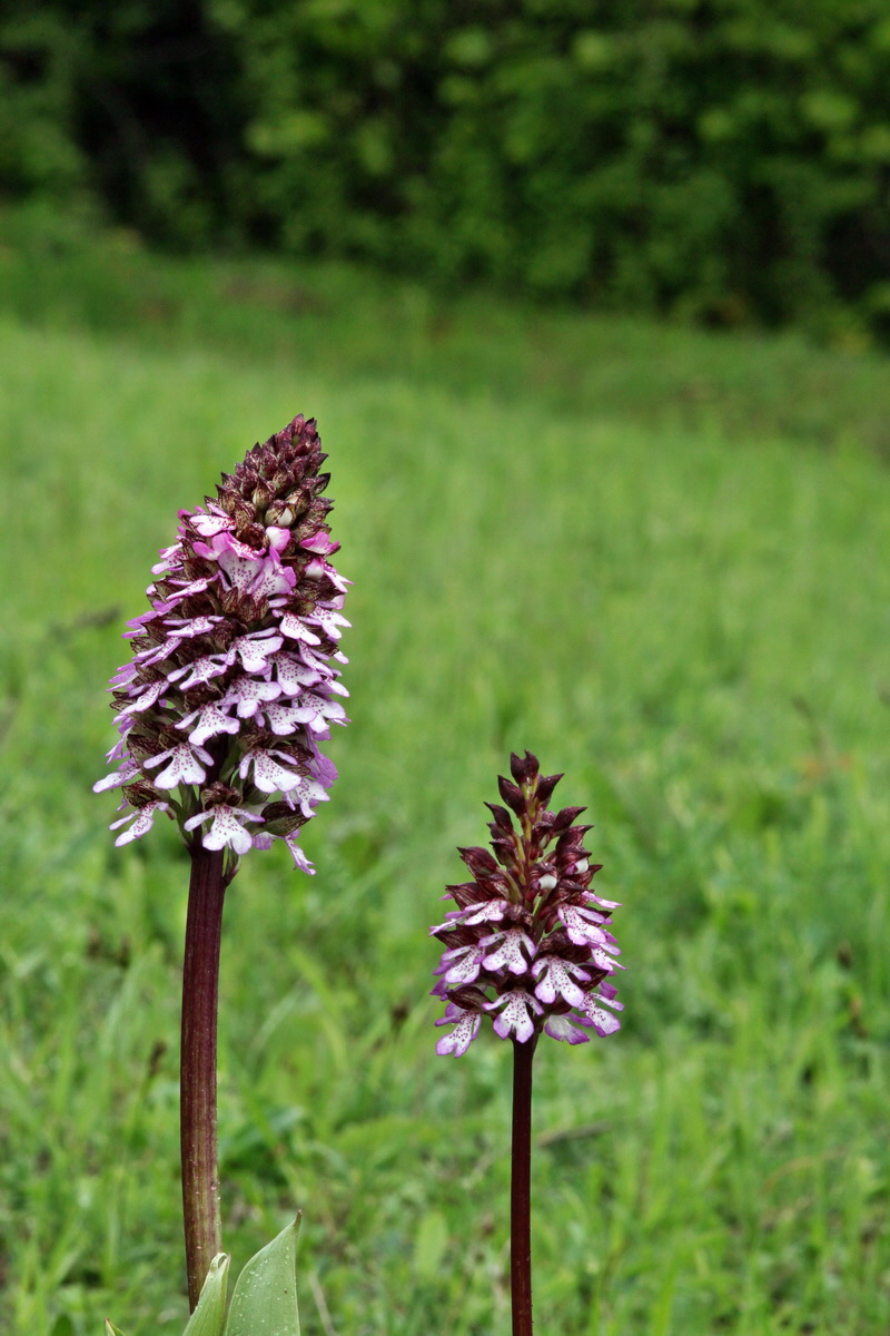 2013_05_14_00014510_Bildgr��e �ndern