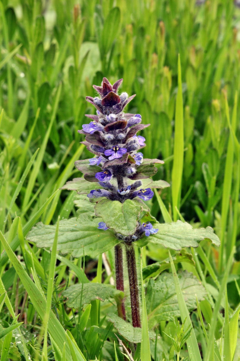 2013_05_14_00014532_Bildgr��e �ndern