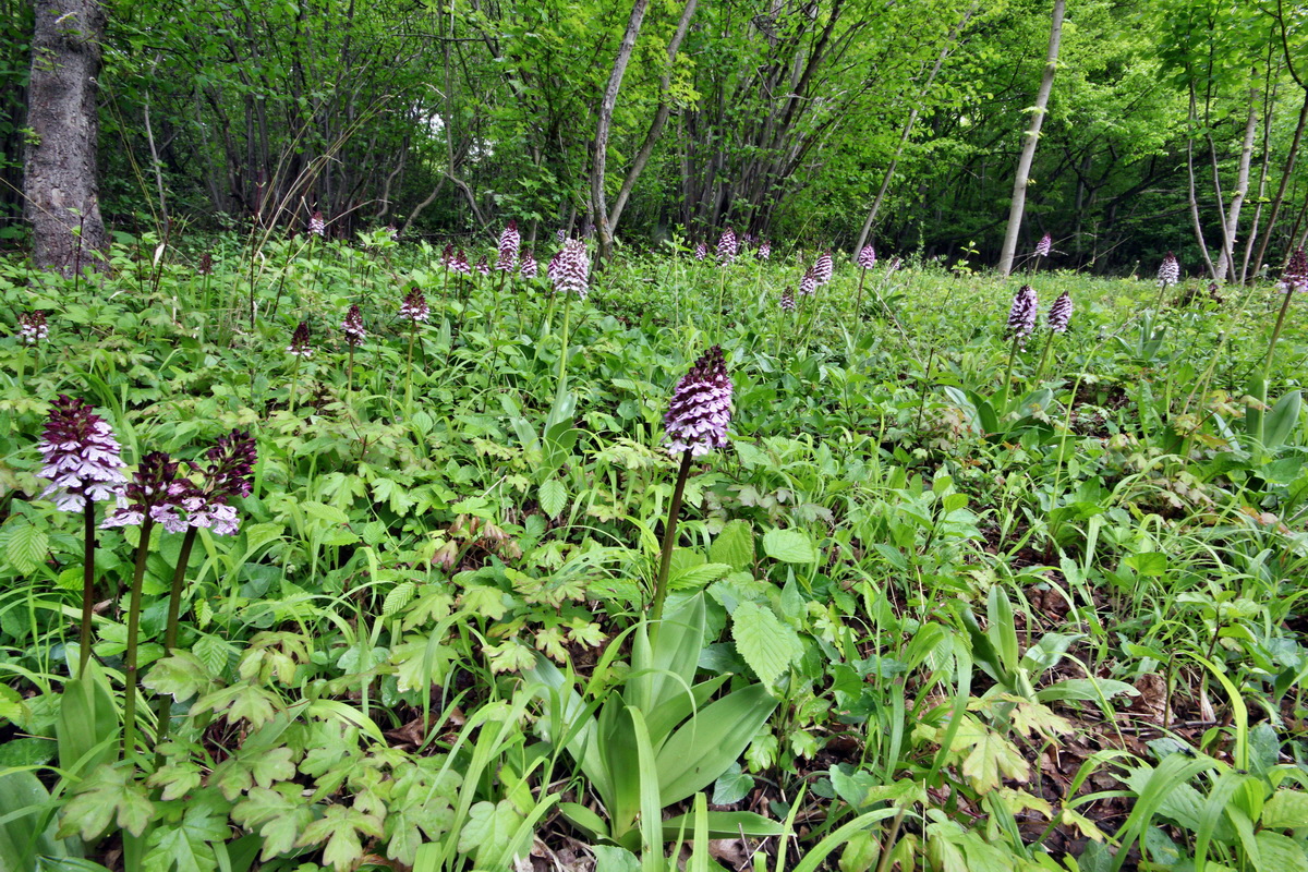 2013_05_14_00014594_Bildgr��e �ndern