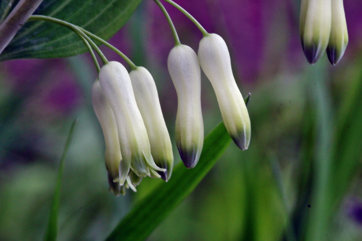 2013_05_14_00014737_Bildgr��e �ndern