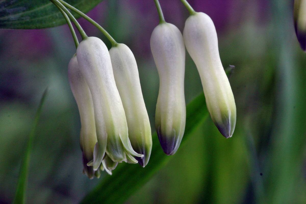 2013_05_14_00014749_Bildgr��e �ndern