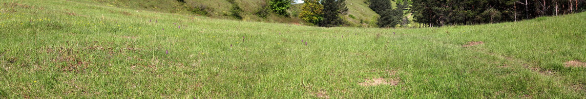 [Group 10]-2013_05_15_00015054_2013_05_15_00015069-16 images1_Bildgr��e �ndern