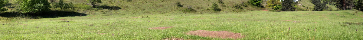 [Group 11]-2013_05_15_00015070_2013_05_15_00015160-81 images1_Bildgr��e �ndern