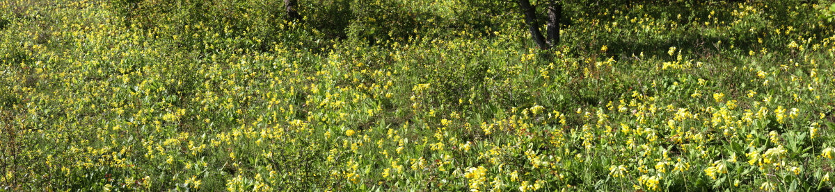 [Group 12]-2013_05_15_00015164_2013_05_15_00015254-91 images-ge