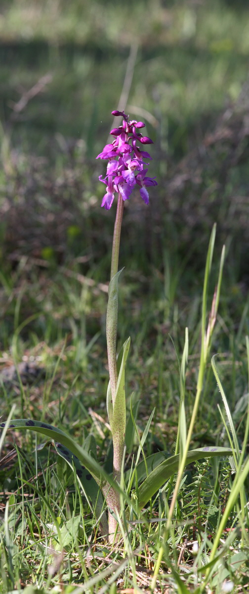 [Group 4]-2013_05_15_00014842_2013_05_15_00014845-4 images_Bildgr��e �ndern