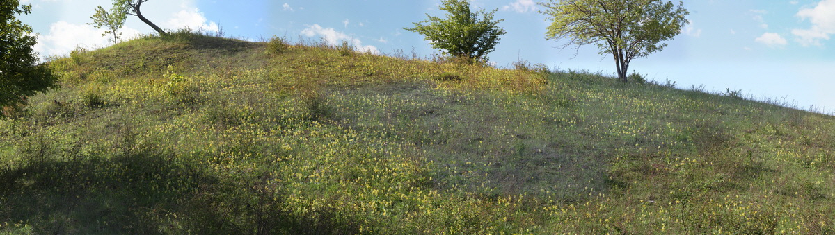 [Group 8]-2013_05_15_00014992_2013_05_15_00015040-49 images1_Bildgr��e �ndern