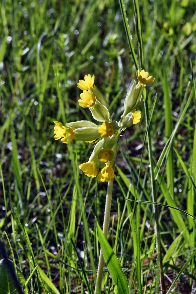 2013_05_15_00014772_Bildgr��e �ndern