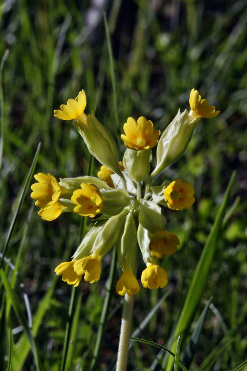 2013_05_15_00014776_Bildgr��e �ndern