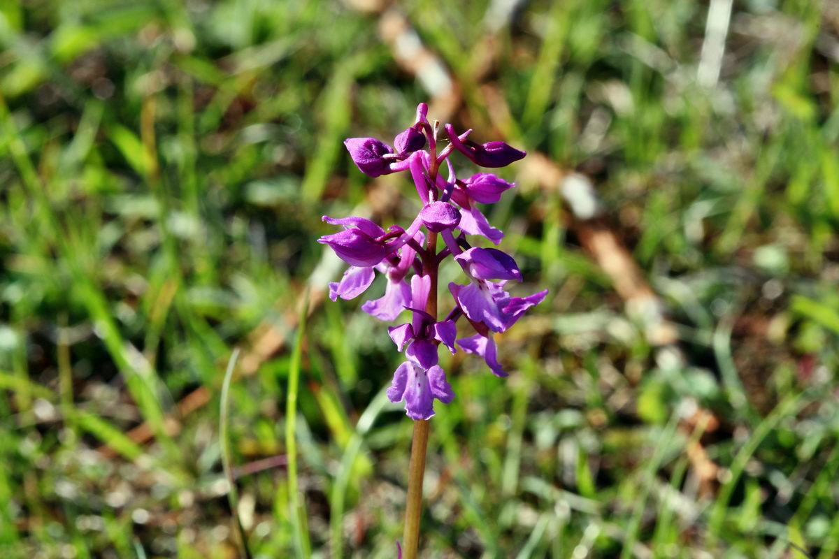 2013_05_15_00014791_Bildgr��e �ndern