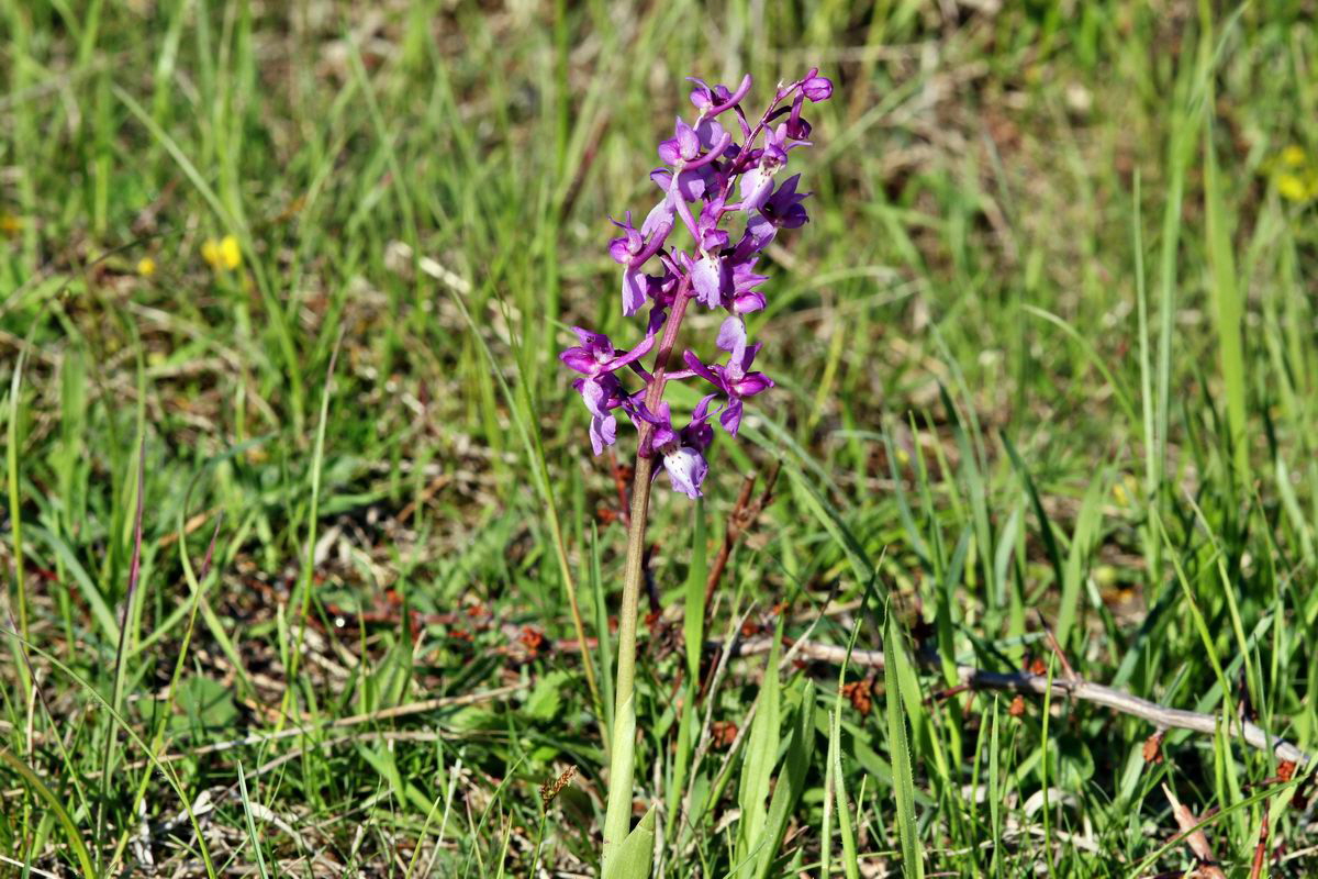 2013_05_15_00014797_Bildgr��e �ndern