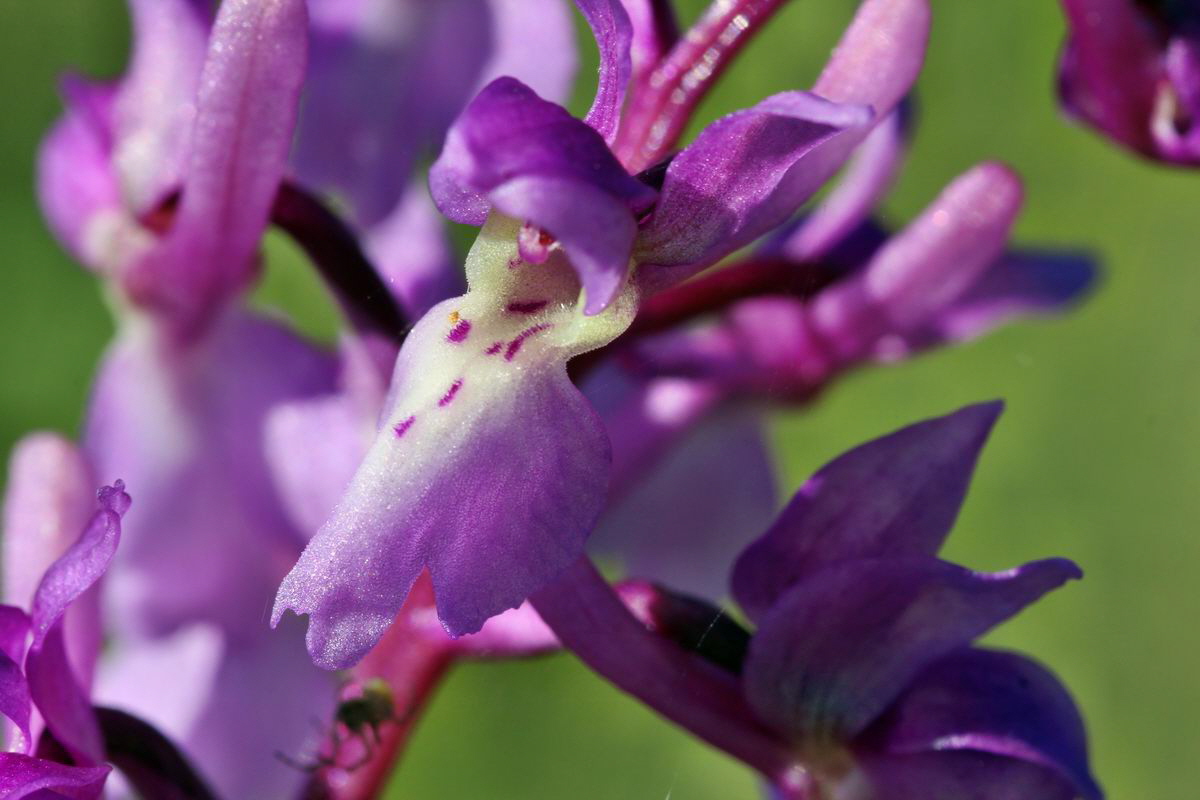 2013_05_15_00014799_Bildgr��e �ndern