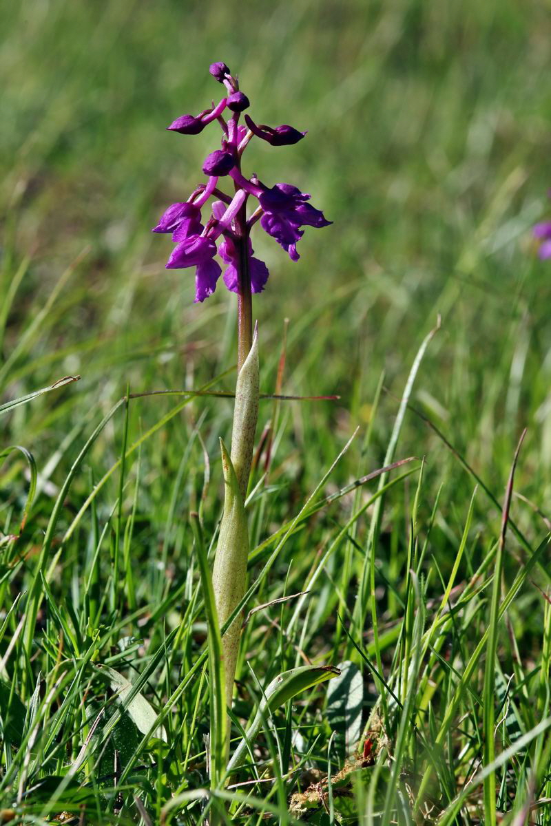 2013_05_15_00014809_Bildgr��e �ndern