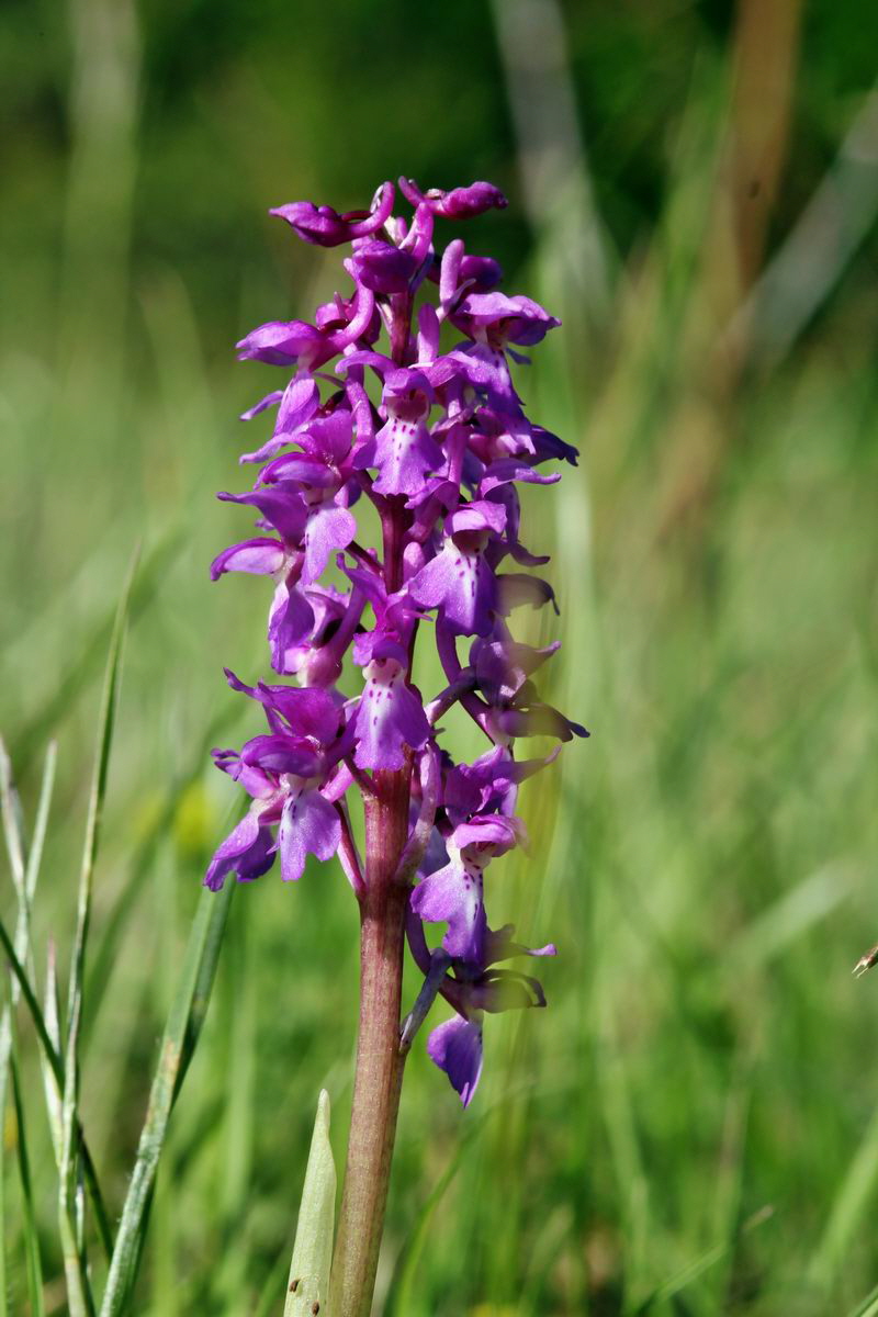 2013_05_15_00014813_Bildgr��e �ndern